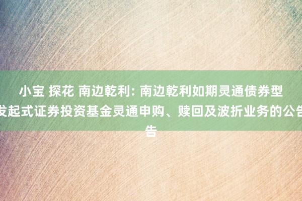 小宝 探花 南边乾利: 南边乾利如期灵通债券型发起式证券投资基金灵通申购、赎回及波折业务的公告