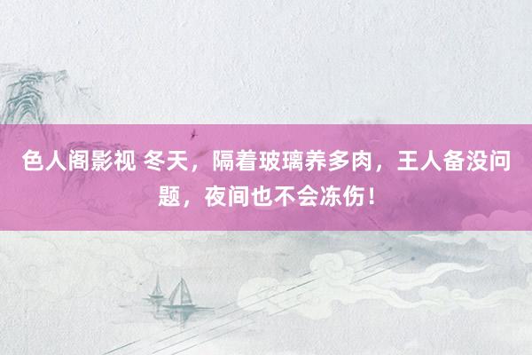 色人阁影视 冬天，隔着玻璃养多肉，王人备没问题，夜间也不会冻伤！