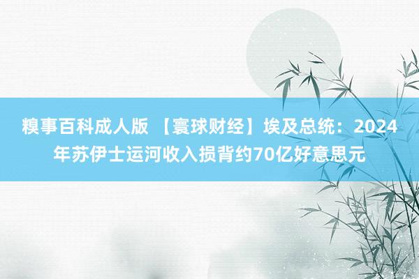 糗事百科成人版 【寰球财经】埃及总统：2024年苏伊士运河收入损背约70亿好意思元
