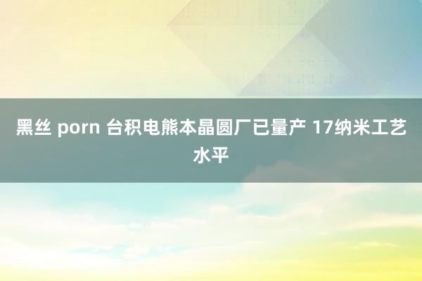 黑丝 porn 台积电熊本晶圆厂已量产 17纳米工艺水平