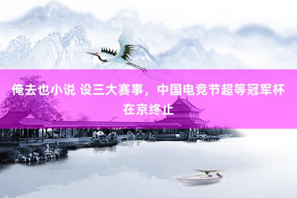 俺去也小说 设三大赛事，中国电竞节超等冠军杯在京终止