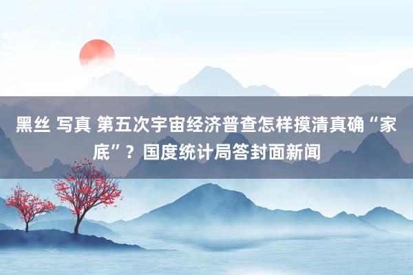 黑丝 写真 第五次宇宙经济普查怎样摸清真确“家底”？国度统计局答封面新闻