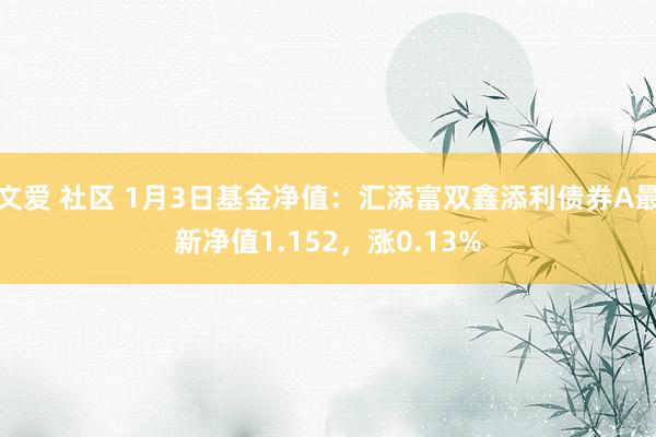 文爱 社区 1月3日基金净值：汇添富双鑫添利债券A最新净值1.152，涨0.13%