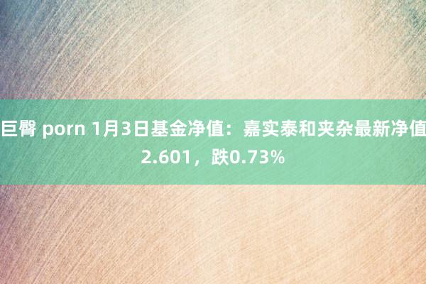 巨臀 porn 1月3日基金净值：嘉实泰和夹杂最新净值2.601，跌0.73%