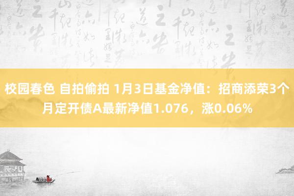 校园春色 自拍偷拍 1月3日基金净值：招商添荣3个月定开债A最新净值1.076，涨0.06%