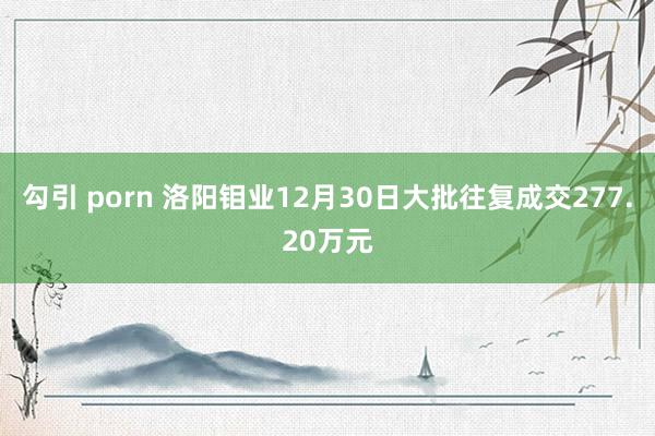 勾引 porn 洛阳钼业12月30日大批往复成交277.20万元
