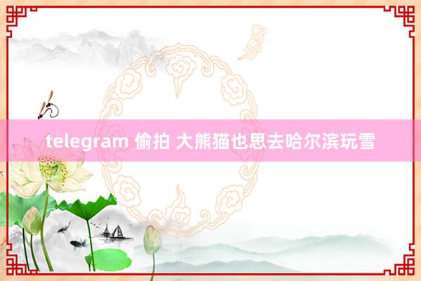 telegram 偷拍 大熊猫也思去哈尔滨玩雪