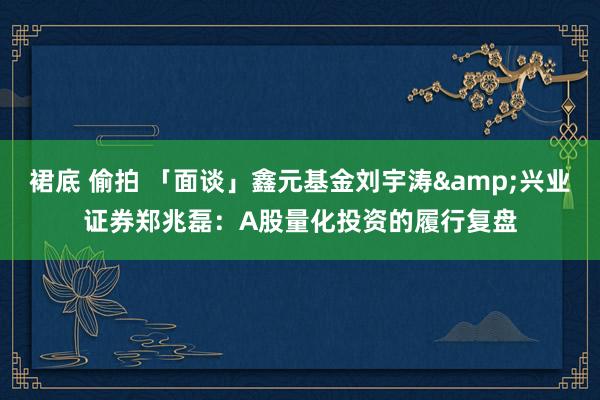 裙底 偷拍 「面谈」鑫元基金刘宇涛&兴业证券郑兆磊：A股量化投资的履行复盘