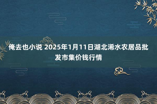 俺去也小说 2025年1月11日湖北浠水农居品批发市集价钱行情