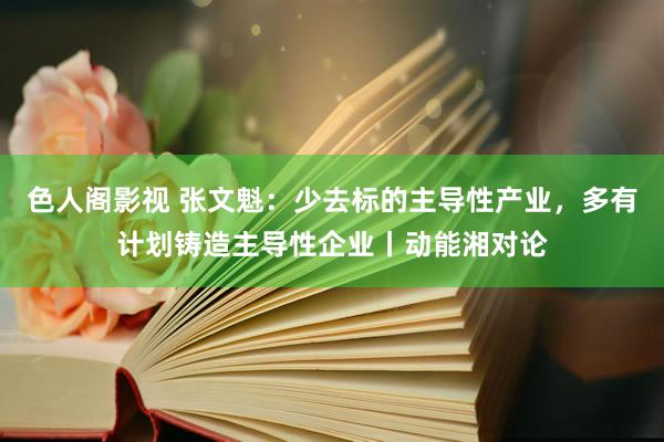 色人阁影视 张文魁：少去标的主导性产业，多有计划铸造主导性企业丨动能湘对论
