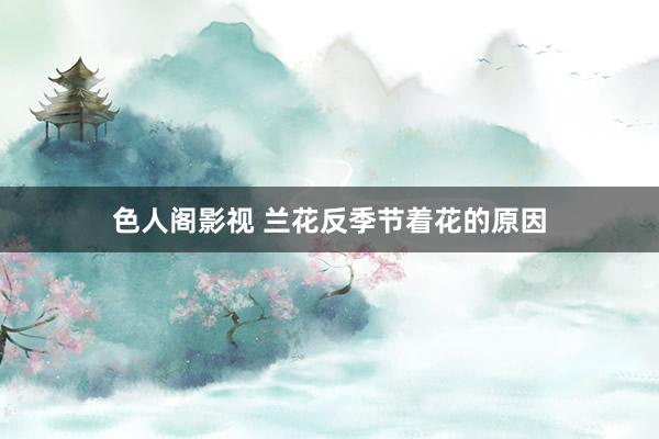色人阁影视 兰花反季节着花的原因