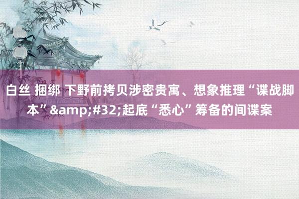 白丝 捆绑 下野前拷贝涉密贵寓、想象推理“谍战脚本”&#32;起底“悉心”筹备的间谍案